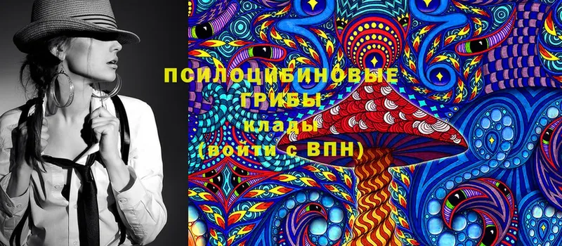 Псилоцибиновые грибы Magic Shrooms  даркнет сайт  Опочка 